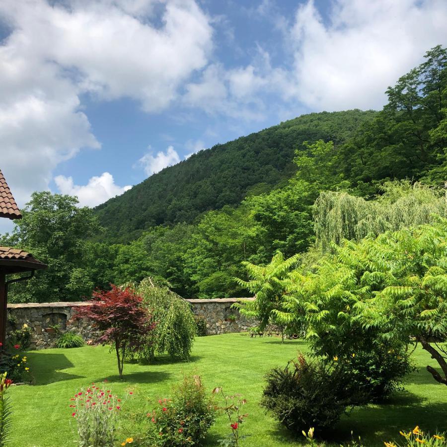 Vila Casa De Piatra Strungari Exteriér fotografie