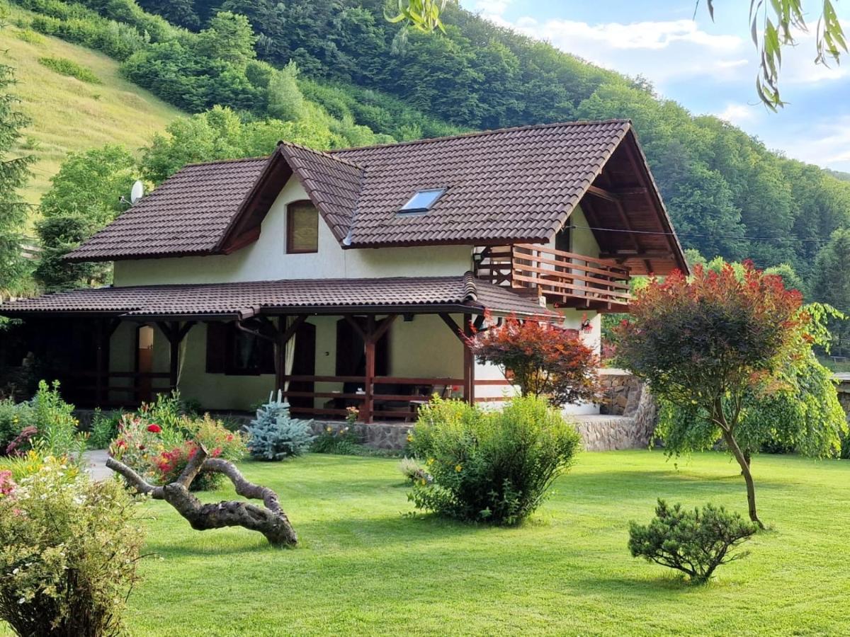 Vila Casa De Piatra Strungari Exteriér fotografie