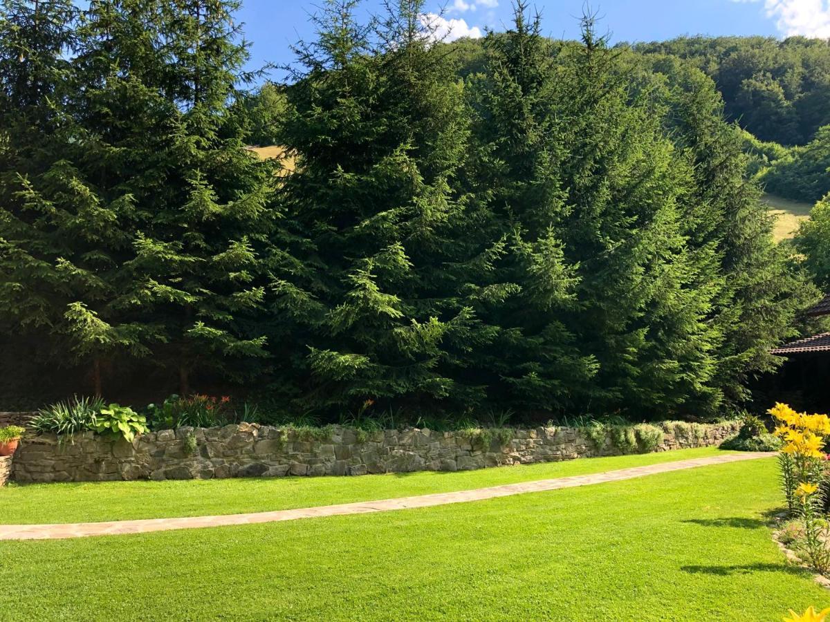 Vila Casa De Piatra Strungari Exteriér fotografie