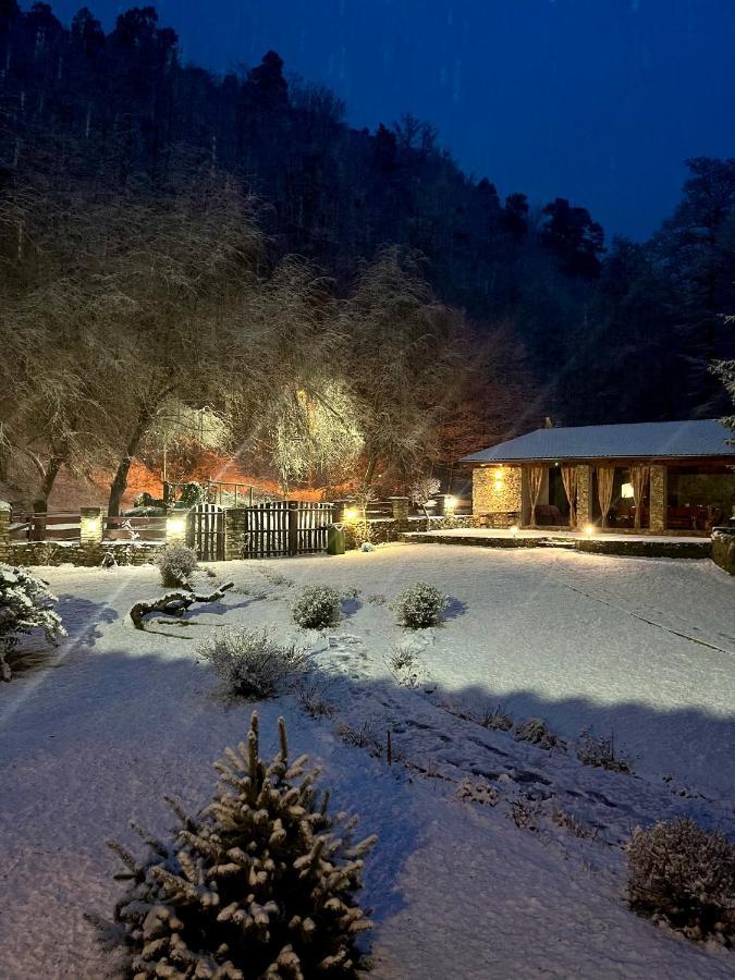 Vila Casa De Piatra Strungari Exteriér fotografie