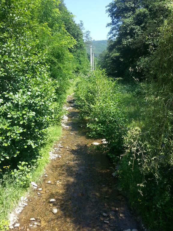 Vila Casa De Piatra Strungari Pokoj fotografie