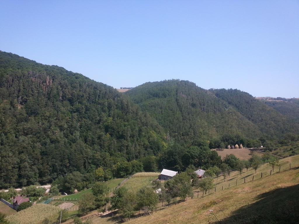 Vila Casa De Piatra Strungari Exteriér fotografie