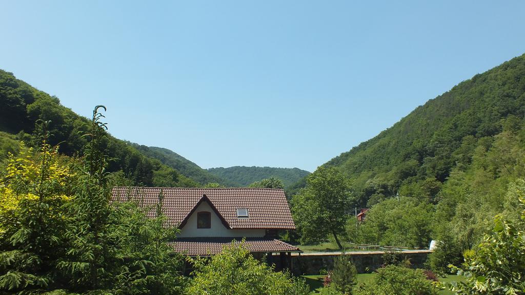 Vila Casa De Piatra Strungari Exteriér fotografie